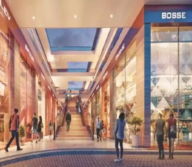 Ameya-the-sapphire-57-specifications